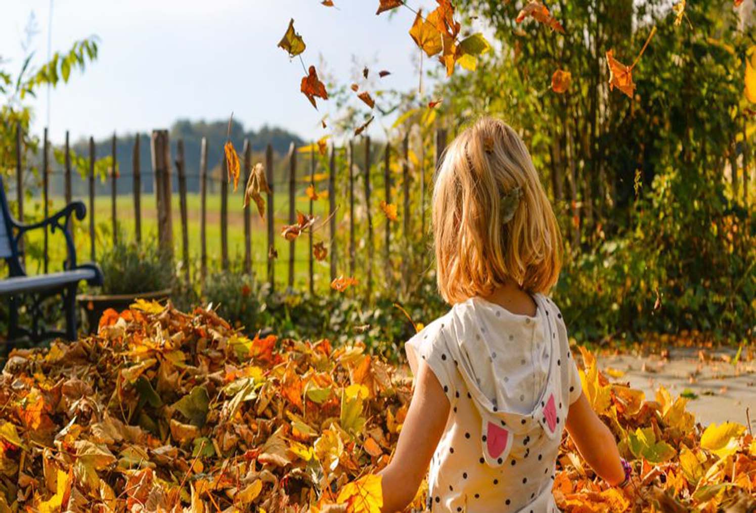 Haarlem met kinderen: Tips voor een gezinsvakantie