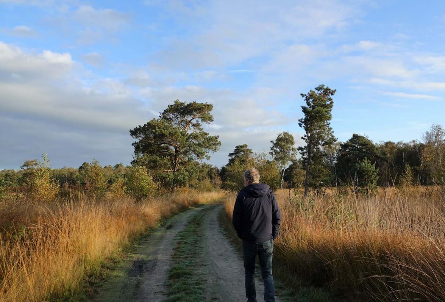 Wandelen rond Eindhoven: Een avontuur in de natuur