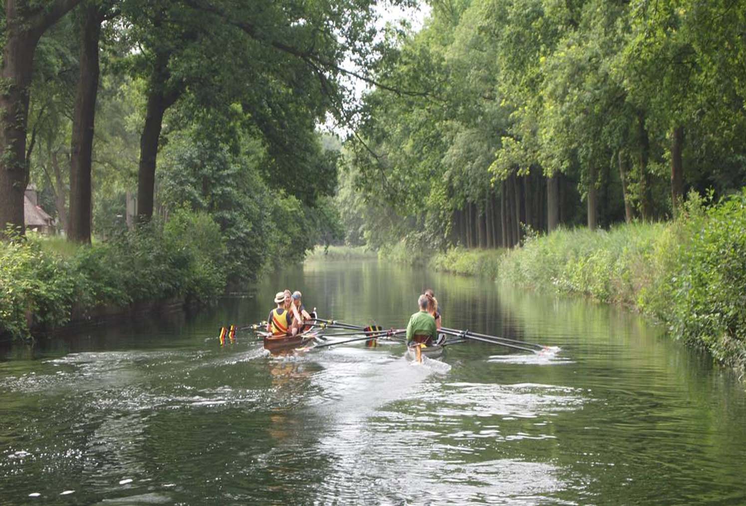 Wateractiviteiten in Apeldoorn: Roeien, Kajakken en Meer