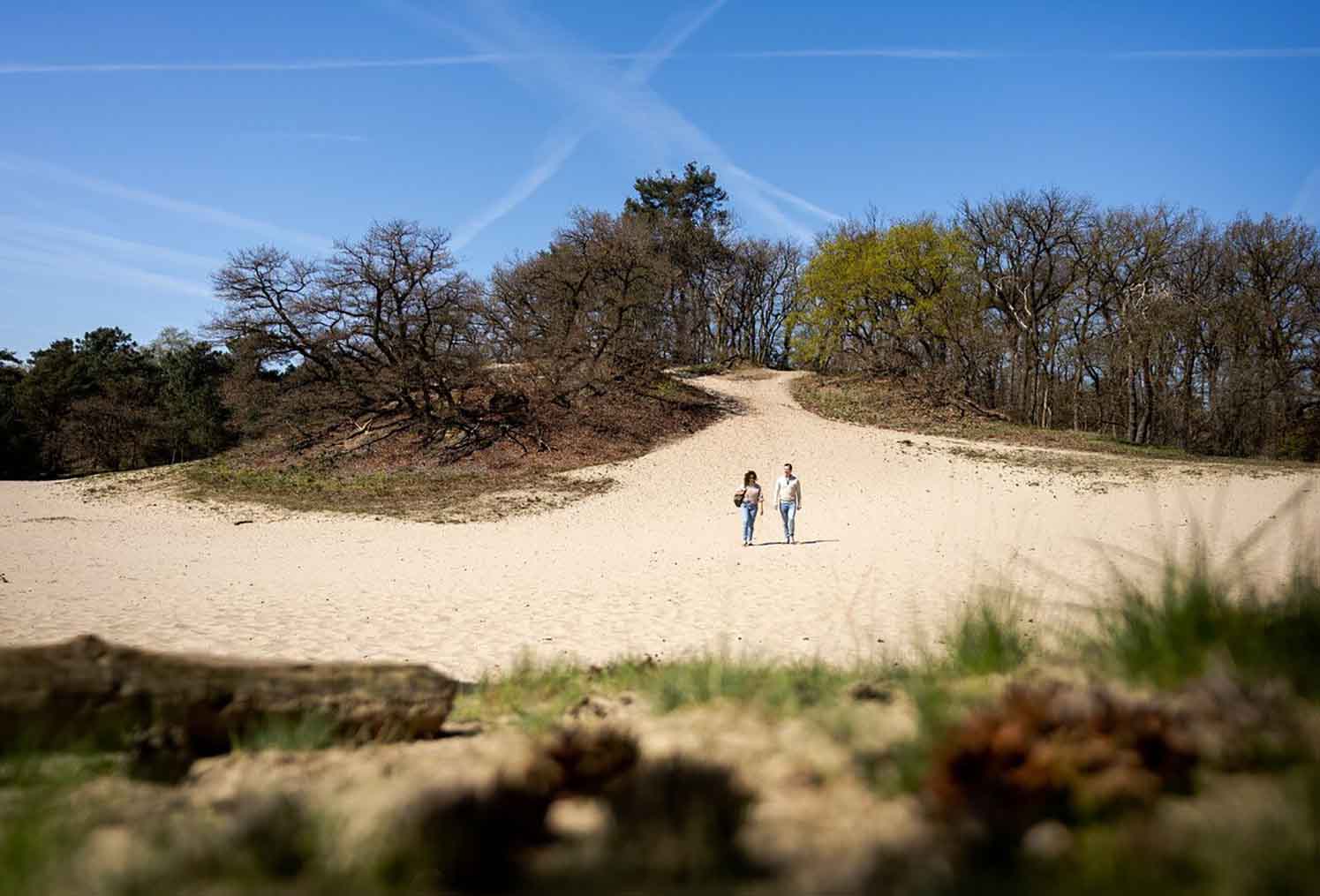 Tilburg en de Beste Wandelaarsroutes: Ga op Avontuur