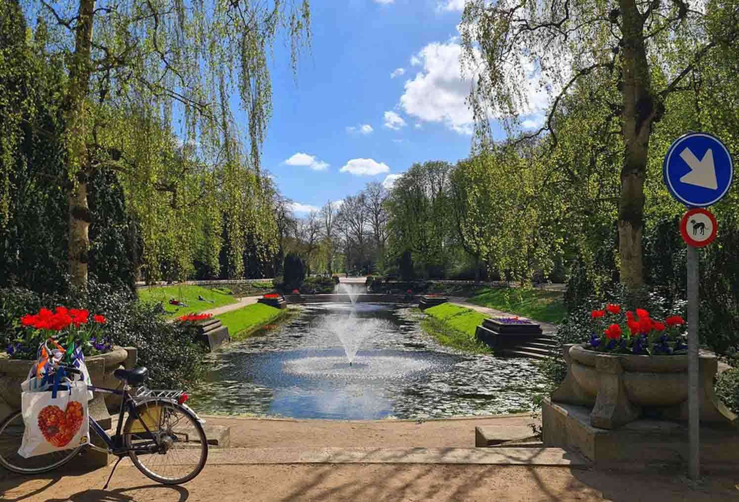 De mooiste stadsparken van Groningen: ideaal om bloemen te bekijken, te wandelen en te ontspannen